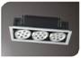 ledgrille3.jpg